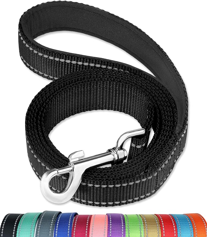 FunTags 6ft Reflective Training Leash